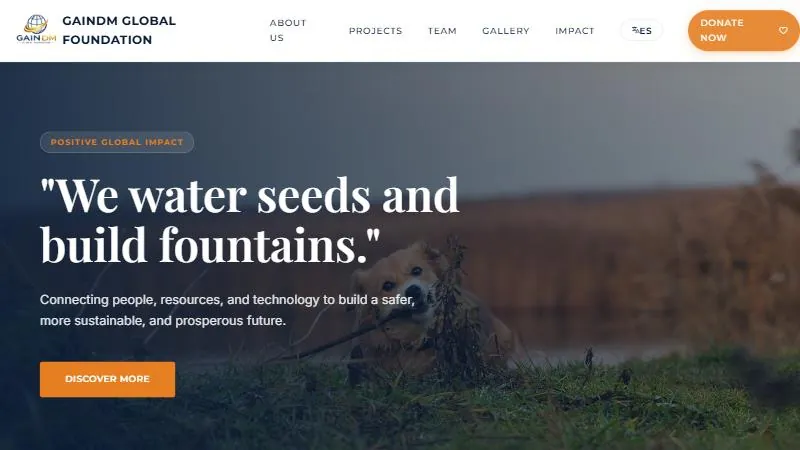 GAINdm Global Foundation home page